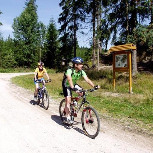 Sportlich
